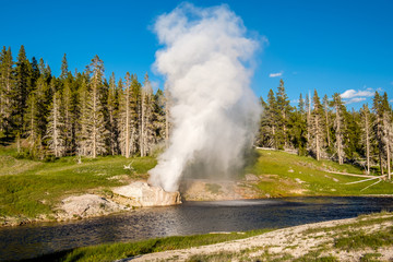 Riverside Geyser in Yellowstone National Park