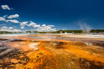 Hot thermal spring in Yellowstone