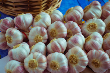 Garlic folded into bundles lined on the table.
