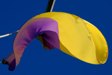 Team Colors against a Blue Sky