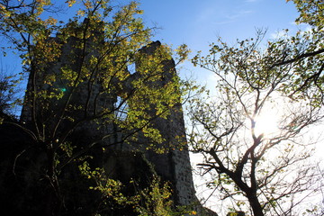 Drachenfels im Siebengebirge