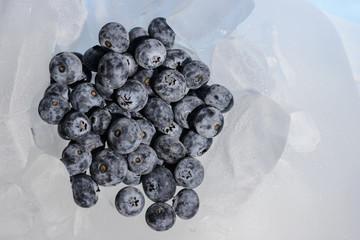 Fresh blueberries are frozen on cold blue ice