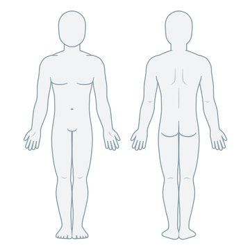 Male body front and back
