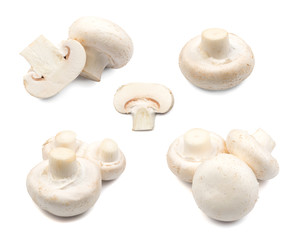 Champignons isolated on white
