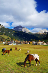 Fototapeta premium Horses in the Dolomites, Italy, Europe