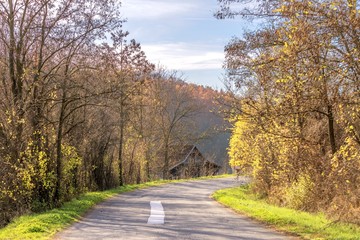autumn rural village road landscape