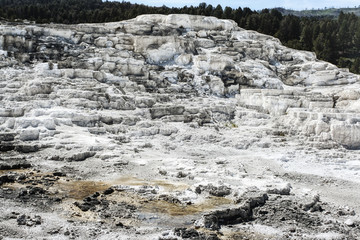 Travertine terrace formations in Yellowstone National Park.