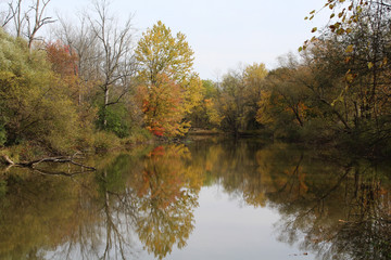 Fototapeta na wymiar Fall trees reflecting on Honeoye creek