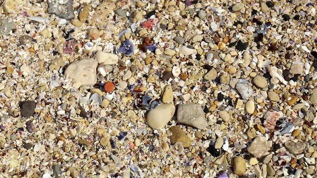 background with Pebbles, sand and sea shells under water at the beach