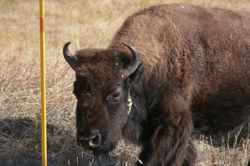 That wasn't there yesterday!