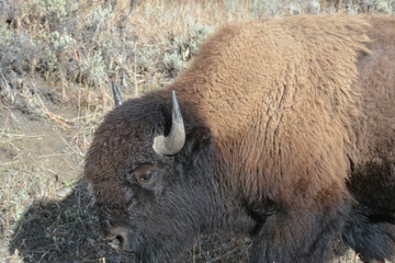 Fototapeta premium Get the Point?