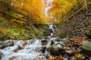 Forest waterfall in Carpathian mountains at autumn, Ukraine