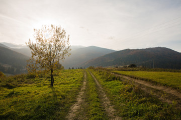Countyside road in Carpathian mountains, Ukraine