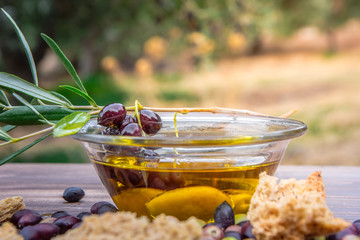 Bowl with extra virgin olive oil, olives, a fresh branch of olive tree and cretan rusk dakos close up, Crete, Greece.