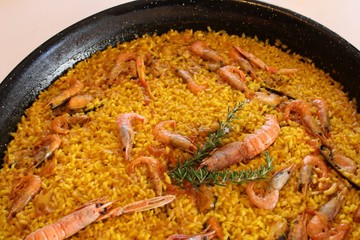 Typical spanish paella