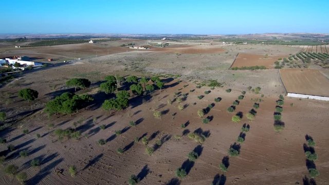 Toledo. Aerial view in Guadamur. Spain. 4k Drone Video