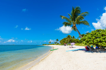Fototapeta na wymiar Sombrero Beach with palm trees on the Florida Keys, Marathon, Florida, USA. Tropical and paradise destination for vacation.