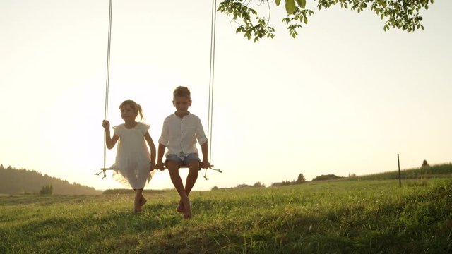 SLOW MOTION CLOSE UP: Young brother and sister swinging on swing under a tree on warm summer evening. Little boy and girl enjoying golden sunset on a swing. Happy kids swinging outdoors in summer.