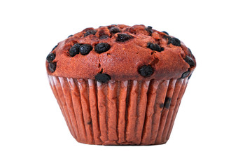Muffin chocolate chip cup cake or cupcake one single isolated on white background photo