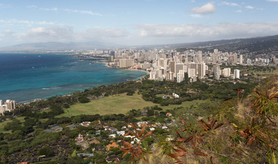 Honolulu from the hill