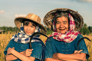 Fototapeta na wymiar Grandmother and farmer niece with rice harvest.