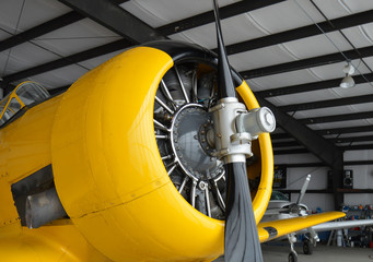 Plane 
