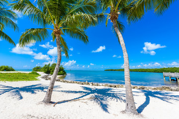 Sombrero Beach with palm trees on the Florida Keys, Marathon, Florida, USA. Tropical and paradise...