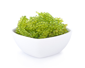 Sea grapes ( green caviar ) seaweed on white backgroun