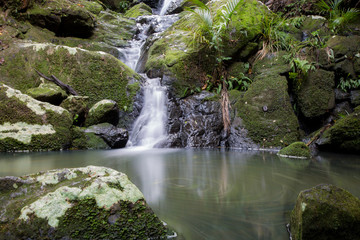 Cascades, Waiheke Island