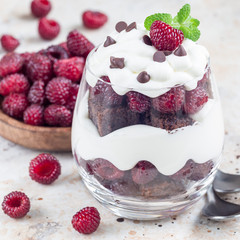 Trifle dessert with brownie, cream cheese frosting and raspberry in glass, square