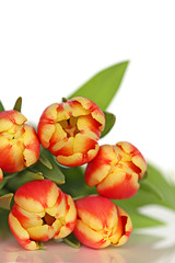 Tulip flower. Bouquet of yellow red tulips on a white background. copy space. Spring 