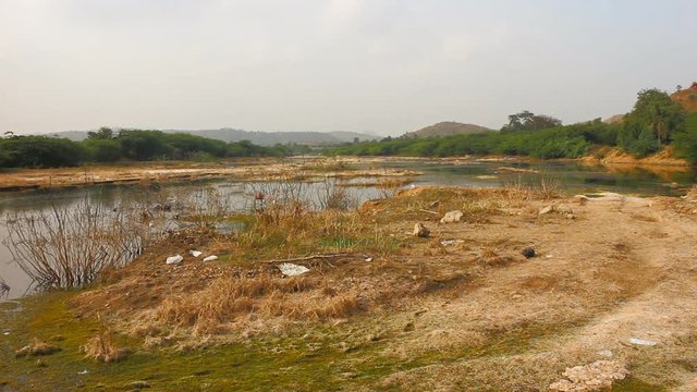 Marshy river valley with bushes in winter and egrets. South India
