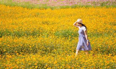 Fototapeta premium Woman asia walking in the flower field cosmos and sunshine