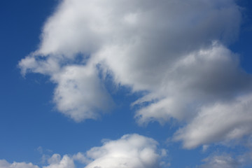 Fototapeta na wymiar 青空と雲「空想・雲のモンスターたち」（何だこれ、驚きの表情、不審がるなどのイメージ）