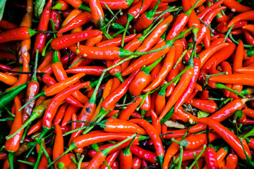 Xiaomi pepper
