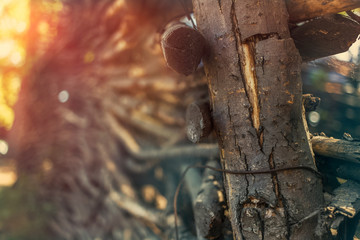 wicker fence made of wood twigs in the rays of the sun