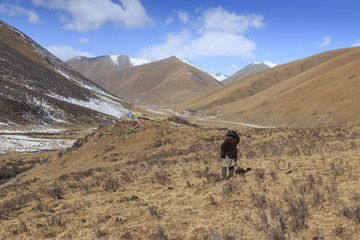 YuShu, China - November 6, 2017: Tibetan shepherd in SiChuan using a slingshot to gather its yaks