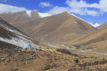 Fototapeta na wymiar Tibetan landscape in China with prayer flags on foreground and mountains and yaks on background