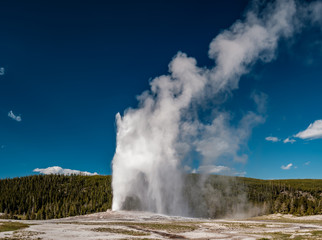 Old Faithful geyser in Yellowstone National Park
