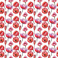 Wildflower tulip flower pattern in a watercolor style. Full name of the plant: tulip. Aquarelle wild flower for background, texture, wrapper pattern, frame or border.