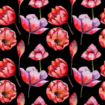 Wildflower tulip flower pattern in a watercolor style. Full name of the plant: tulip. Aquarelle wild flower for background, texture, wrapper pattern, frame or border. © yanushkov