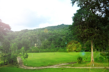 Green landscape in thailand with sun glare effect