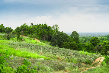 Green Scenic Hill with ground road. Wild landscape view in Thailand