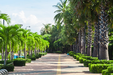 Green public garden park with walkway background