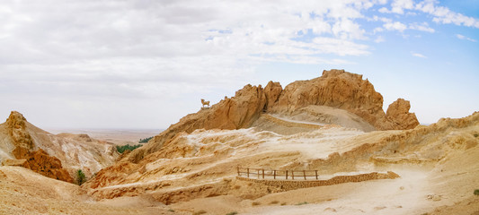 Fototapeta na wymiar Panorama view on oasis Chebika, famous landmark in Sahara desert. Tunisia.