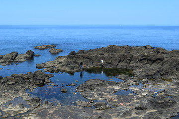 奇岩怪石の磯が続く山形県庄内海岸の岩場