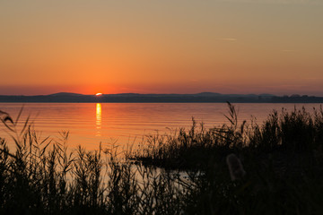 Sunset at the lake, with reeds and plants in the foreground and sun low on the horizon