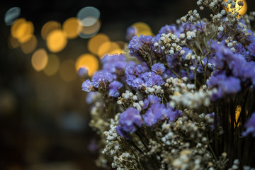 Fototapeta premium Dried flowers with lights bokeh background