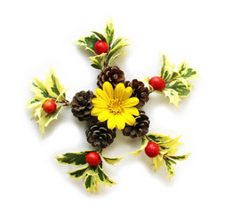 ヒイラギの葉と松ぼっくりとクマタケランの実とツワブキの花のクリスマスリース