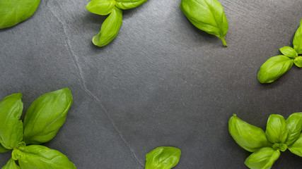 Plain template with basil on a black slate. Perfekt for menus or greeting card food themed